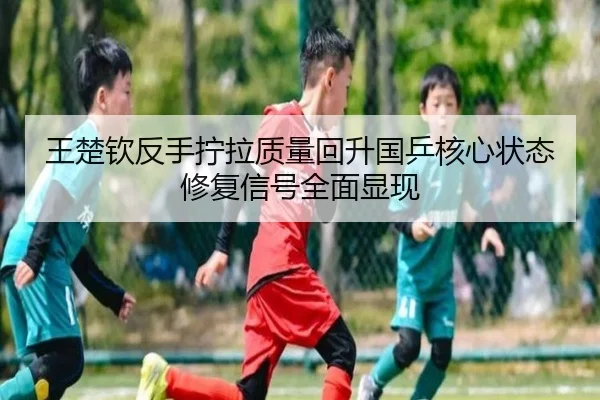 王楚钦反手拧拉质量回升国乒核心状态修复信号全面显现